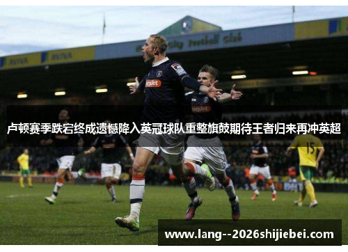 卢顿赛季跌宕终成遗憾降入英冠球队重整旗鼓期待王者归来再冲英超