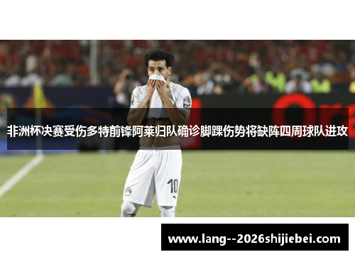 非洲杯决赛受伤多特前锋阿莱归队确诊脚踝伤势将缺阵四周球队进攻